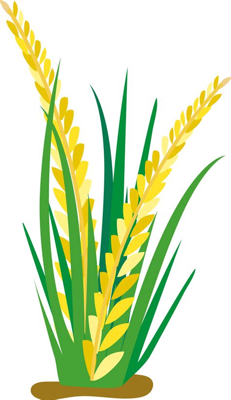 Rice Cartoon Oat Clip Art Rice Plant Vector Png Free Transparent | SexiezPix Web Porn