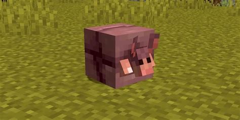 Minecraft Players Want One Change Made to the New Armadillo Mob