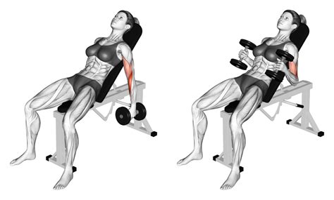 Incline Hammer Curls: Benefits, Muscles Worked, and More - Inspire US