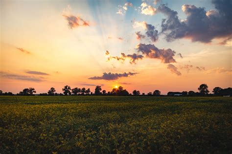 🔥 Sunset Field Background HD Download | CBEditz