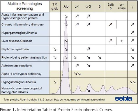 My Blog: Serum Protein Electrophoresis Interpretation Pdf