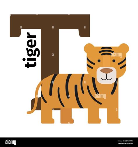 English animals zoo alphabet with letter T. Tiger vector illustration ...