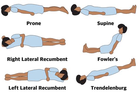 What Is an Anatomical Position? An Illustrated Guide | Escuelas de medicina, Paramedicos, Medicina