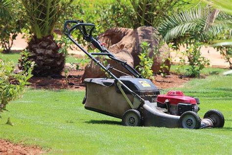 5 Essential Lawn Mowing Tips: Cut Your Garden Grass Like a Pro | Home Gardening Tips