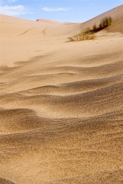 Sandy background stock photo. Image of abstract, high - 19570186