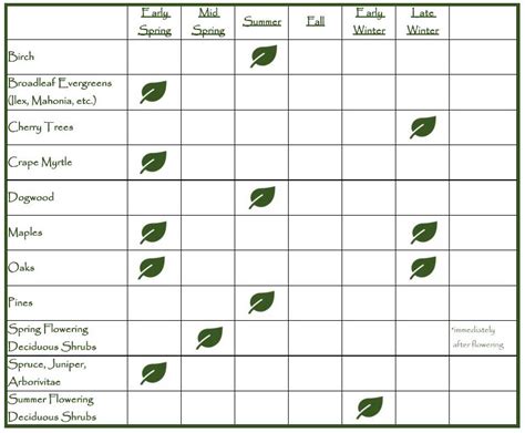 A Guide For When to Prune Plants - Complete Landscaping