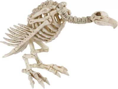 Skeleton Vulture 10in | Party City