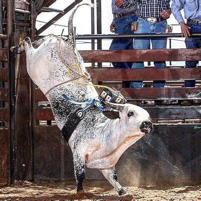 Bucking bulls return to Duncan | News | duncanbanner.com