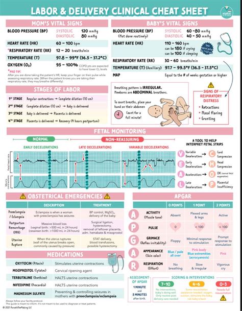 Nursing School Study Notes and Survival Tips