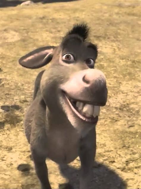 Exploring The Whimsical World Of The Donkey Meme