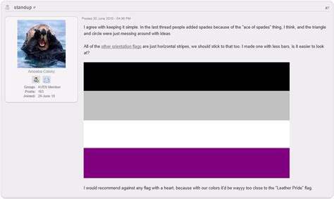 The Asexuality Flag | Asexuality Archive