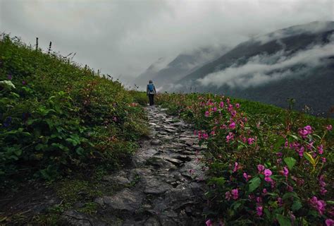 A Walk Into 'The Valley of Flowers' - Part II | Soul Trails