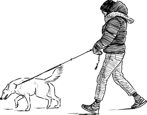 Premium Vector | Sketch of teenager with his dog going for a walk