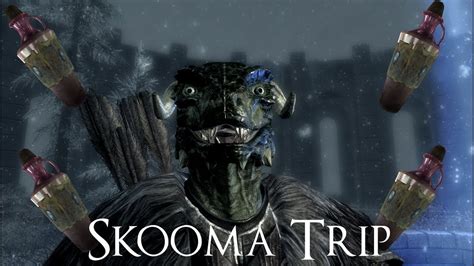 Skyrim: Skooma Trip - YouTube