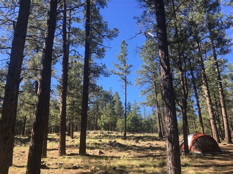 Kaibab National Forest Kaibab Lake Campground | The Dyrt