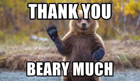 Thank You Meme Discover more interesting Animal, Bear, Berry Much, Cute ...