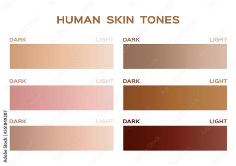 skin tone color infographic / gradient Stock Vector | Adobe Stock