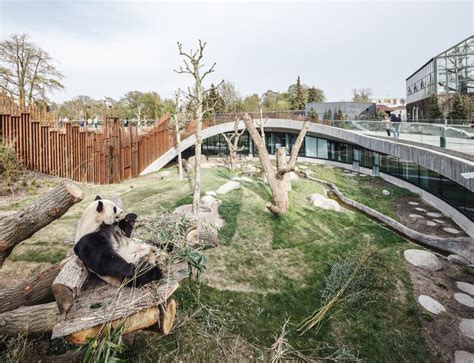 Panda House Observation Center / BIG | ArchDaily