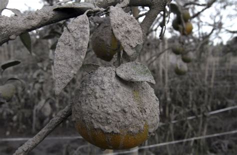 The Devastating Effects of a Volcano Eruption in North Sumatra (26 pics ...