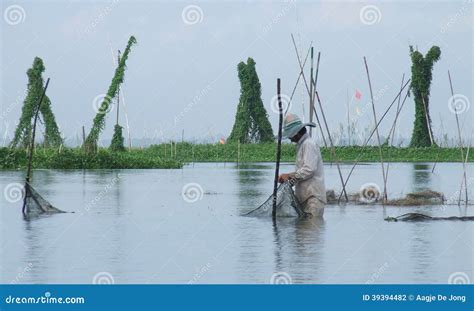 Fishing on Danau (lake) Tempe in Sulawesi Stock Photo - Image of ...