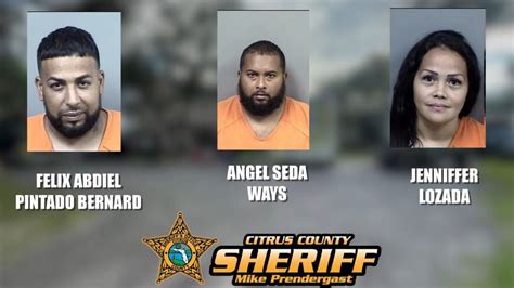 Million dollar drug seizure leads to 3 arrests in Citrus County | wtsp.com