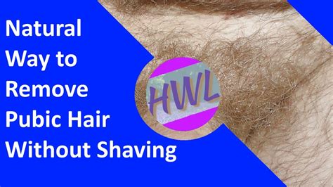 Male Groin Hair Removal Outlet Online | wallcretepanel.com