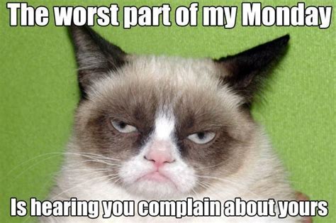 Best Grumpy Cat Monday Meme | Know Your Meme