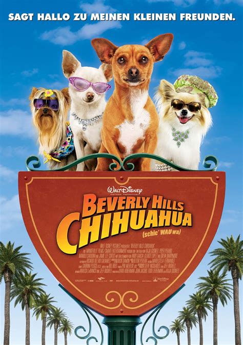 Beverly Hills Chihuahua (#4 of 5): Extra Large Movie Poster Image - IMP ...