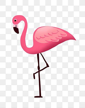 Flamingo PNG Transparent Images Free Download | Vector Files | Pngtree