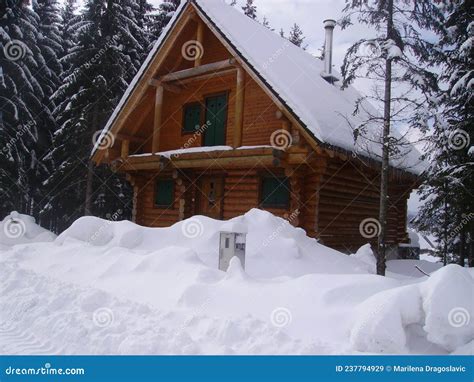 Cabin Snow Covered in the Woods. Cabin in the Woods, a House Covered in ...