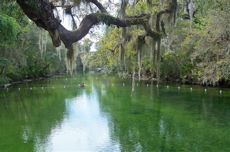 12 National Parks and Gardens near Orlando - Orlando Parks, Gardens and Natural Escapes – Go Guides