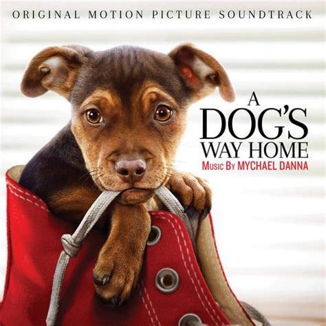 A Dog’s Way Home Soundtrack | Soundtrack Tracklist | 2024