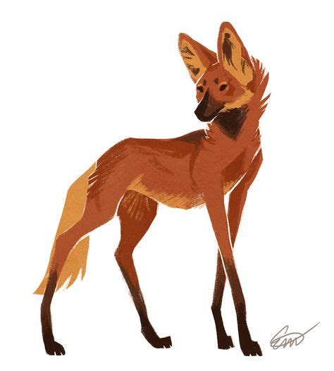 Las mejores 10+ ideas de Lobo de Crin/ Maned Wolf | aguara guazu ...