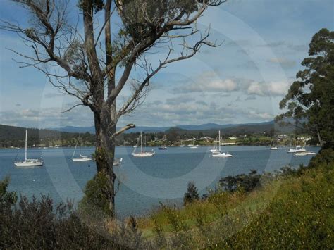 Camping Esperance South West Tasmania Free Campground Dover Hastings ...