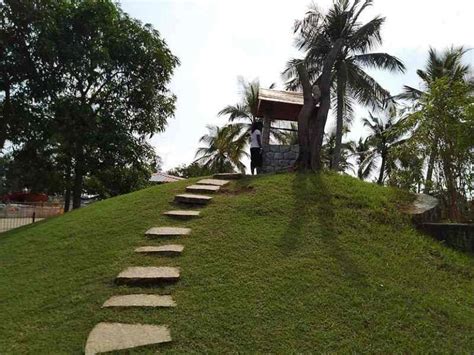 How to Plant Grass Seed on a Slope