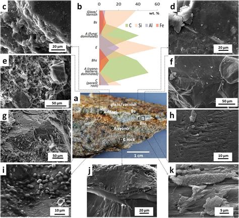 Soil-like eluvial-illuvial differentiation in cryptoendolithic system... | Download Scientific ...