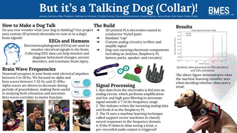 Project Dug: Students Are Developing A Talking Dog Collar