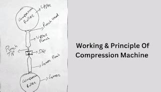 Working and Principle Of Tablet Compression Machine - Pharmainform