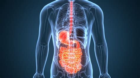 Stomach Acid & Digestion | Baseline of Health Foundation