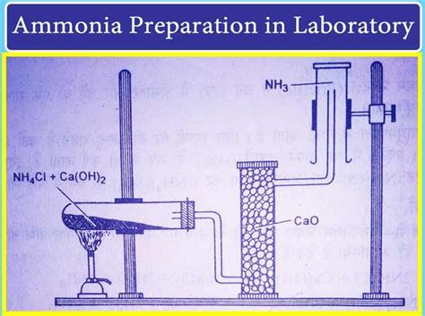 Ammonia | Notes, Videos, QA and Tests | Class 10>Science>Gases | SaralMind