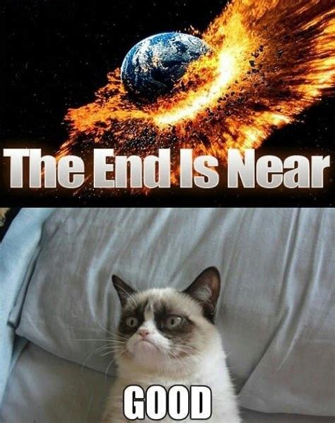 Meme of the year: Grumpy Cat