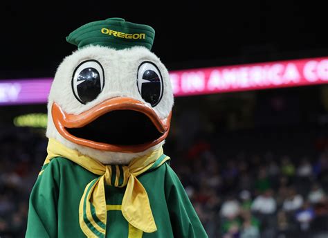 74 Point Win Makes Oregon Ducks' Mascot do an Insane Amount of Pushups - FanBuzz