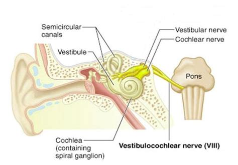 Pin on The ABC's of Medical Interventions