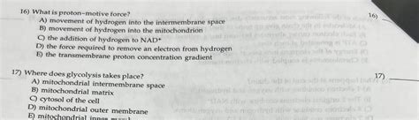 [ANSWERED] 16 What is proton motive force A movement of hydroge... - Biology - Kunduz