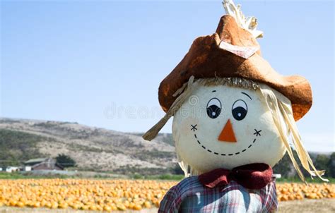 Scarecrow in a Sunflower Field Stock Image - Image of field, farm: 29087