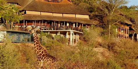 Safari lodge owner in soup - Zimbabwe Situation