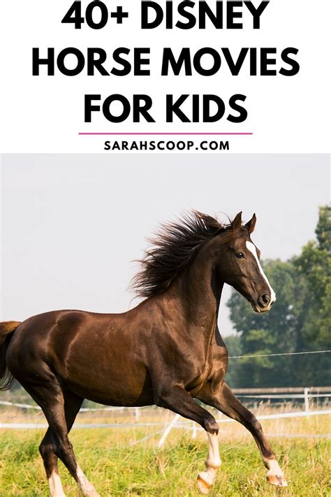 40 Disney Horse Movies List For Kids To Watch | Sarah Scoop