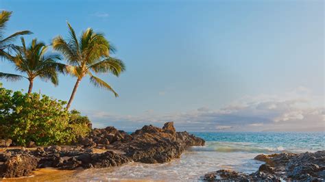 Makena Cove beach - Maui, Hawaii - backiee