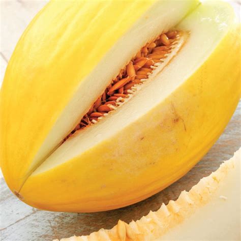 Crenshaw Melon – MIgardener
