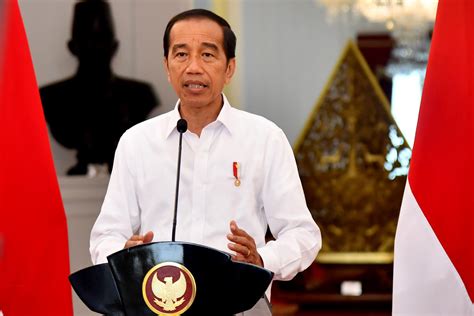 Presiden Jokowi Umumkan Indonesia Resmi Jadi Anggota Penuh FATF ...